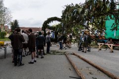 2016-05-01_011_Maibaum_0602_RH