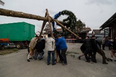 2016-05-01_015_Maibaum_0611_RH