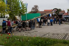 2016-05-01_017_Maibaum_0619_RH