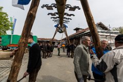 2016-05-01_021_Maibaum_0632_RH