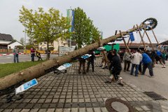 2016-05-01_023_Maibaum_0638_RH