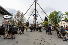 2016-05-01_026_Maibaum_0645_RH