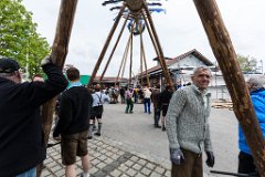 2016-05-01_029_Maibaum_0652_RH