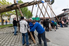 2016-05-01_030_Maibaum_0653_RH