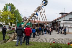 2016-05-01_032_Maibaum_0656_RH