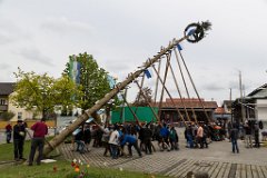 2016-05-01_034_Maibaum_0664_RH