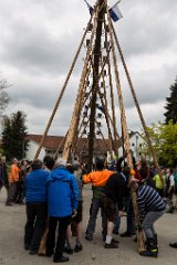 2016-05-01_036_Maibaum_0669_RH