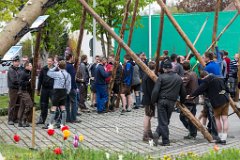 2016-05-01_042_Maibaum_0692_RH