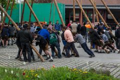 2016-05-01_044_Maibaum_0695_RH