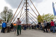 2016-05-01_048_Maibaum_0708_RH