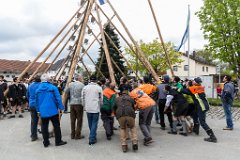 2016-05-01_049_Maibaum_0710_RH