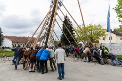 2016-05-01_050_Maibaum_0715_RH