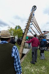 2016-05-01_054_Maibaum_0731_RH