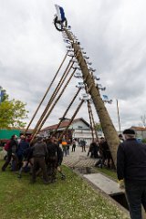 2016-05-01_059_Maibaum_0752_RH