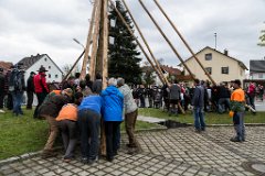 2016-05-01_061_Maibaum_0759_RH