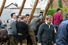 2016-05-01_065_Maibaum_0776_RH