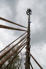 2016-05-01_067_Maibaum_0783_RH