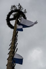 2016-05-01_068_Maibaum_0787_RH