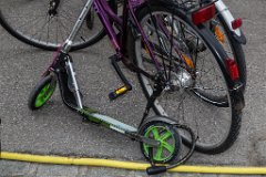 2016-05-01_113_Maibaum_0895_RH