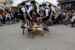 2016-05-01_150_Maibaum_1016_RH