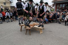 2016-05-01_151_Maibaum_1017_RH