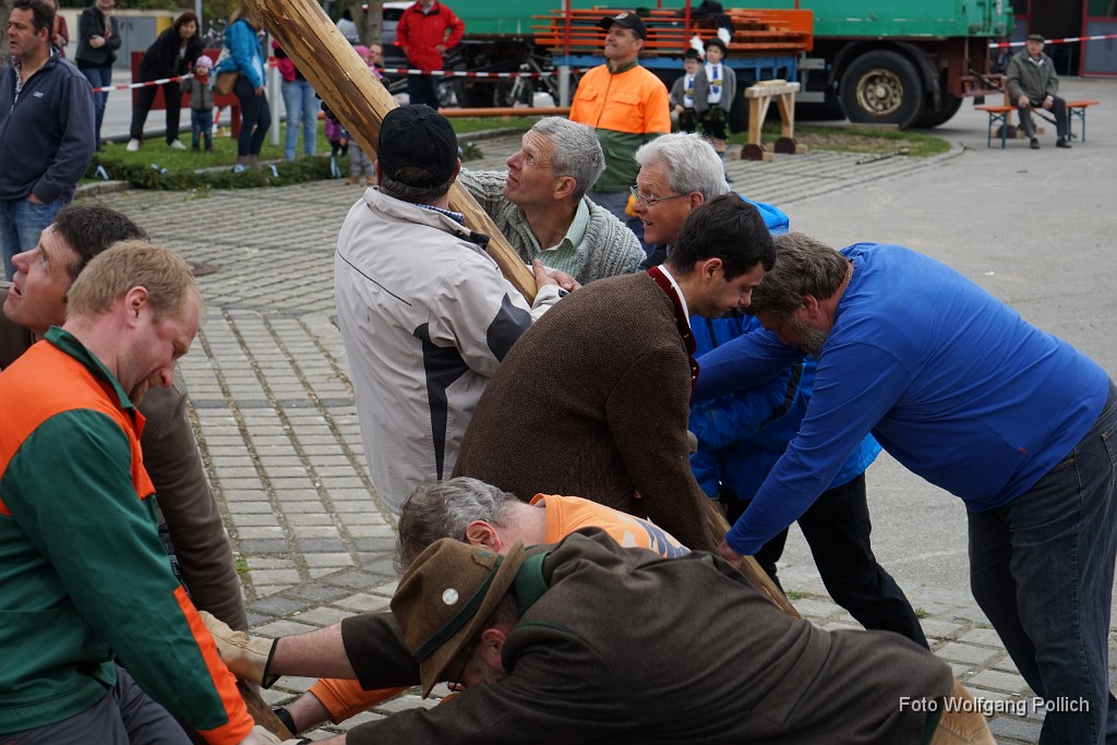 2016-05-01_005_Maibaum_WP.JPG