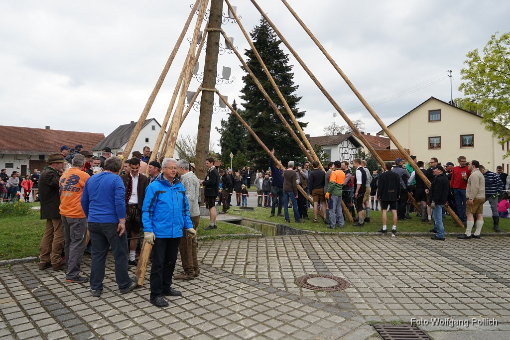2016-05-01_007_Maibaum_WP.JPG