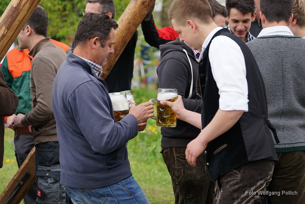 2016-05-01_014_Maibaum_WP.JPG