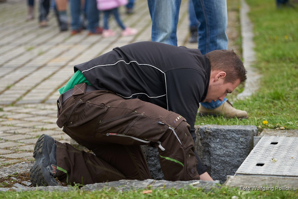 2016-05-01_033_Maibaum_WP.jpg -                                