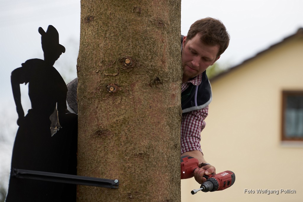 2016-05-01_035_Maibaum_WP.jpg -                                