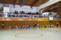 2016-06-26_003_50-Jahre-Damengymnastik_WP