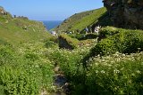 2016-06-03_347_GB_Tintagel_RM