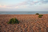 2016-06-06_643_GB_Folkeston_RM