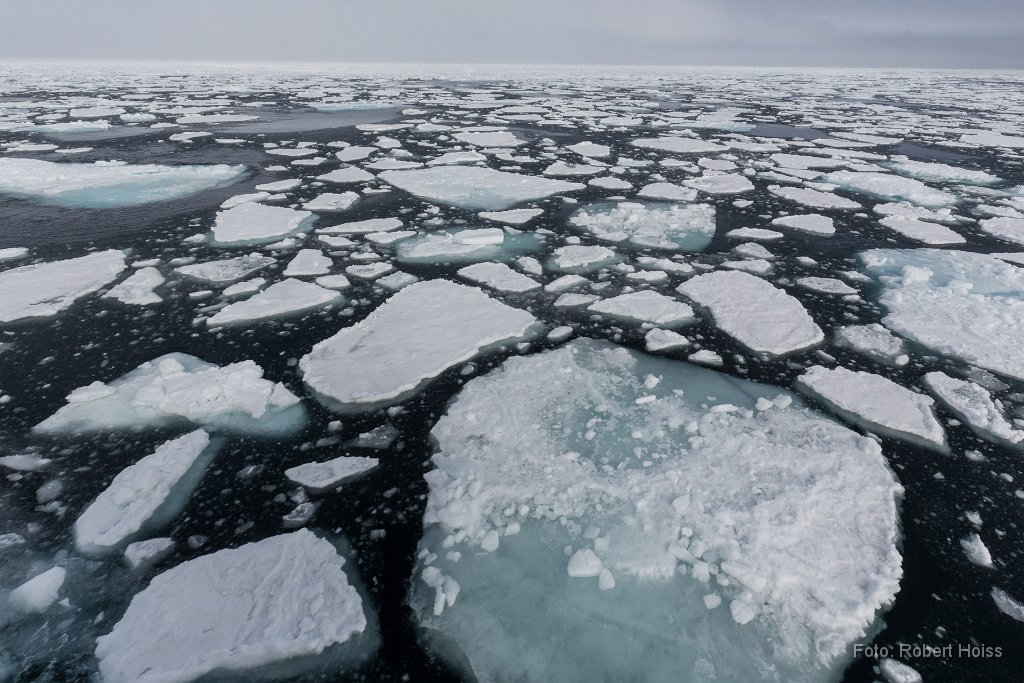 2016-06-30_60_Spitzbergen_Packeis_7610_RH.jpg