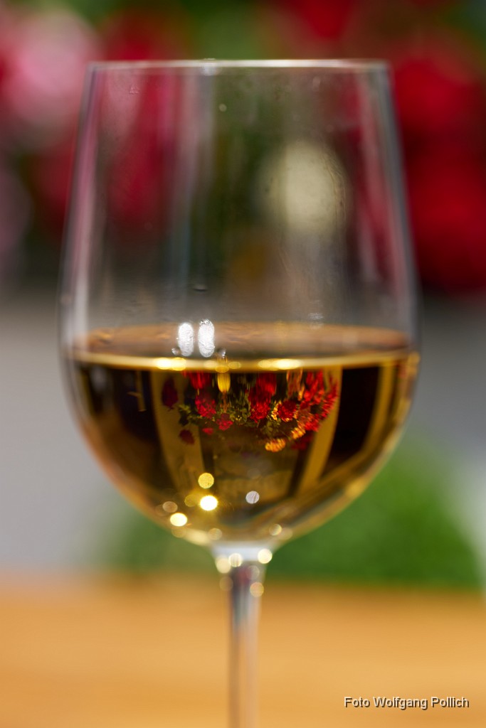 2016-07-31_003_Geranienwein_WP.jpg -                                