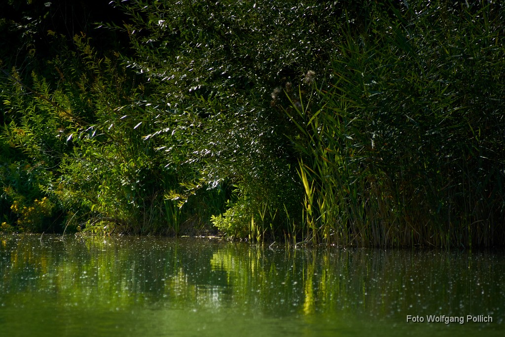 2016-08-31_004_Impressionen_August.jpg -                                