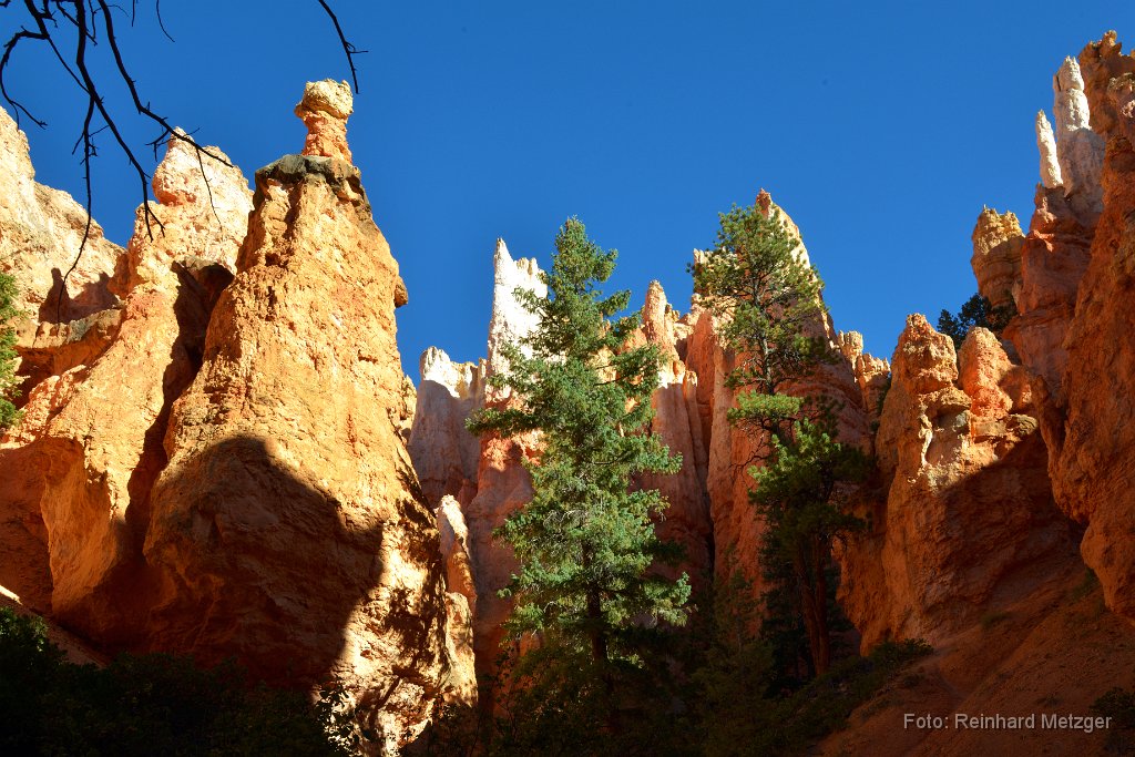 2016-09-06_417_Bryce_Canyon_Utah_RME4111.jpg