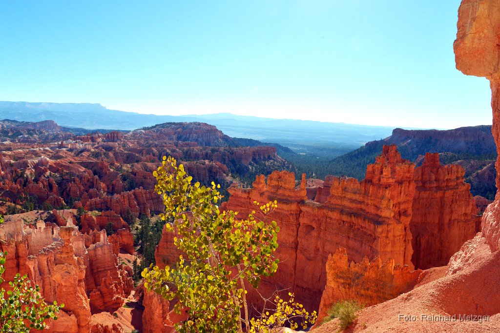 2016-09-06_437_Bryce_Canyon_Utah_RME4146.jpg
