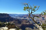 2016-09-04_309_Grand_Canyon_RME3840