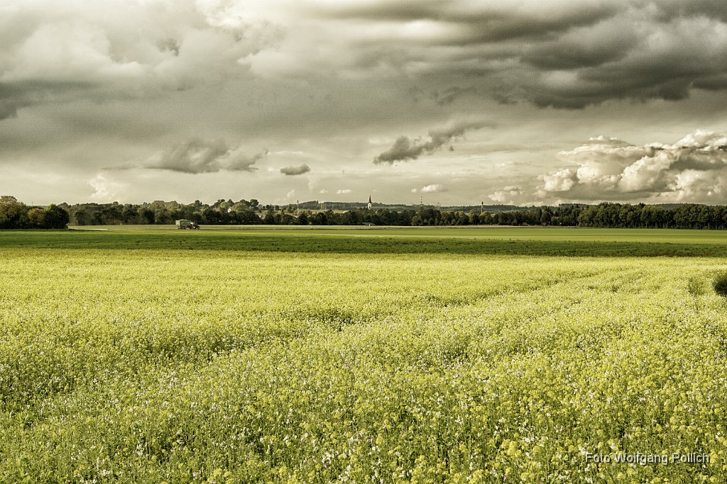 2016-10-09_003_Impressionen_Oktober_WP.jpg -                                