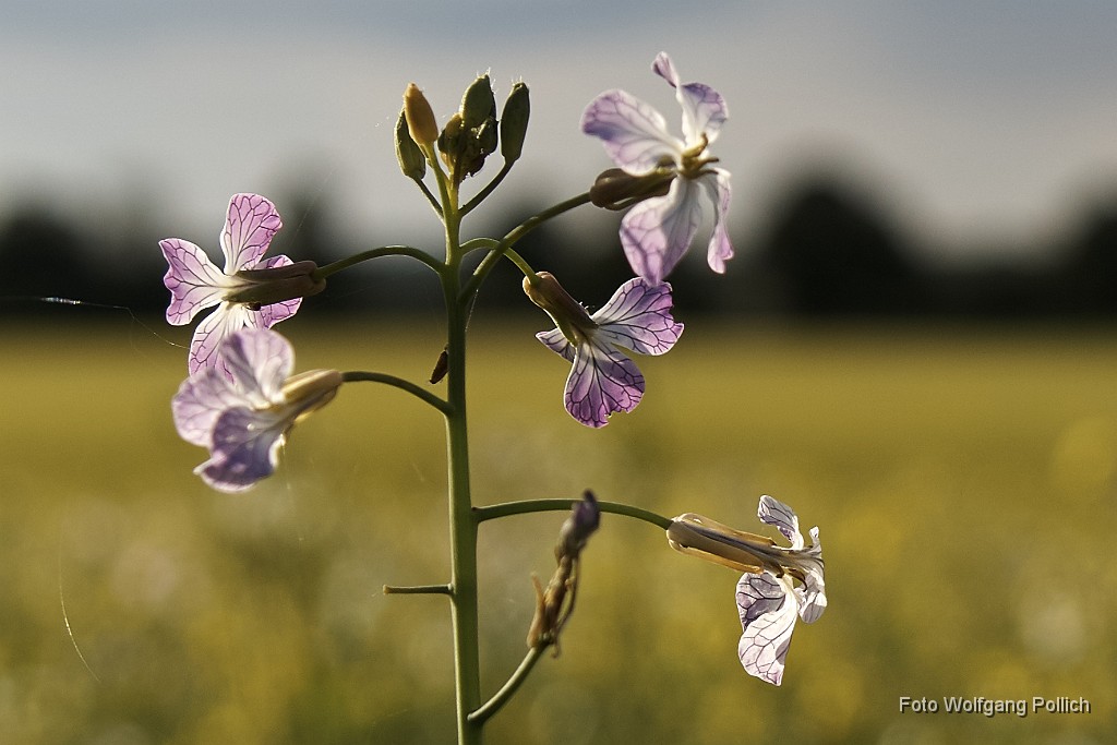 2016-10-09_004_Impressionen_Oktober_WP.jpg -                                