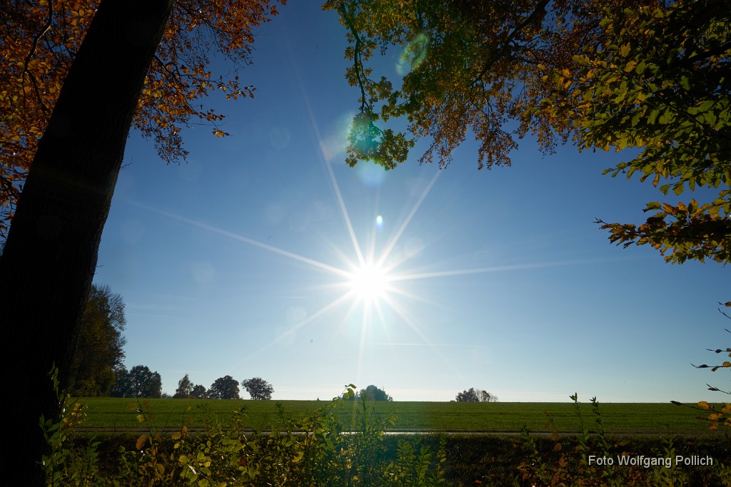 2016-10-31_027_Impressionen_Oktober_WP.jpg -                                