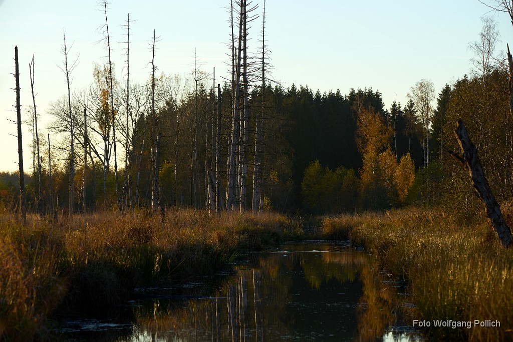 2016-10-31_029_Im_Roten_Moos_WP.jpg -                                