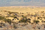 2016-09-08_669_Mesquite_Flat_Death_Valley_RME5247