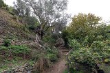 2016-11-07_06_Botanischer-Garten_Kreta_KB