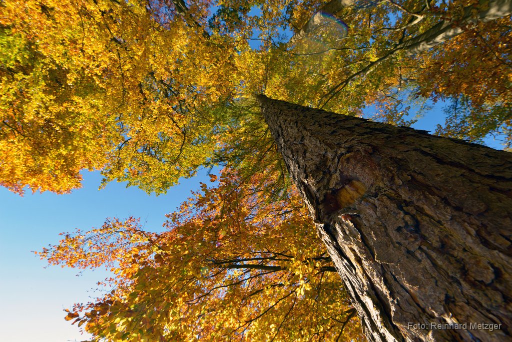 2016-11-30_04_Herbst_RM.jpg
