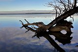 2016-12-07_04_Ammersee_RM
