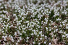 2017-03-31_02_Maerz_7938_RH