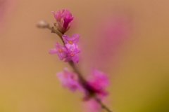 2017-03-31_05_Maerz_7967_RH