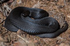 2017-03-31_07_Maerz_7184_RH